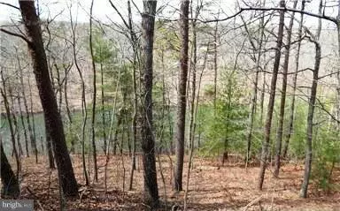 Hedgesville, WV 25427,42 ICHABOD HOLLOW ROAD