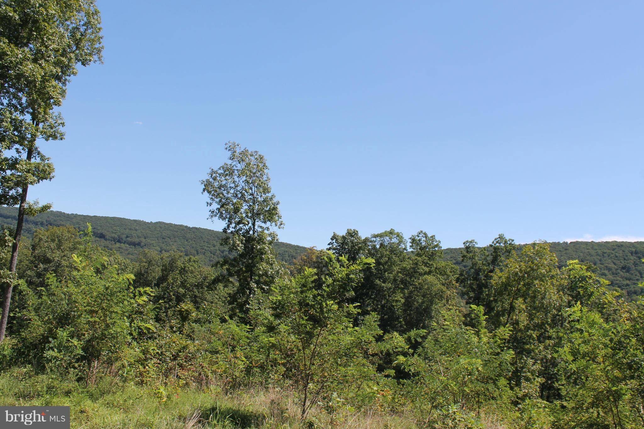 PALE MAGNOLIA DR, Gerrardstown, WV 25420