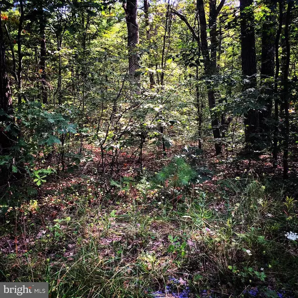 OASIS LN, Gerrardstown, WV 25420