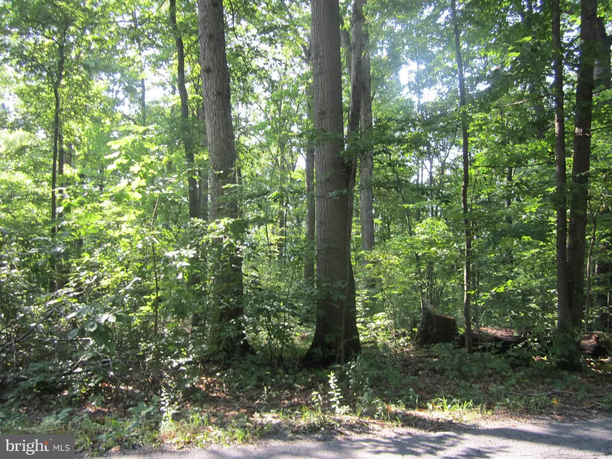 Gerrardstown, WV 25420,LOT 283 NANCY JACK RD