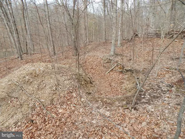 Hedgesville, WV 25427,LOT 3 FLOWING BROOK