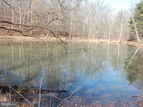 Hedgesville, WV 25427,LOT 3 FLOWING BROOK