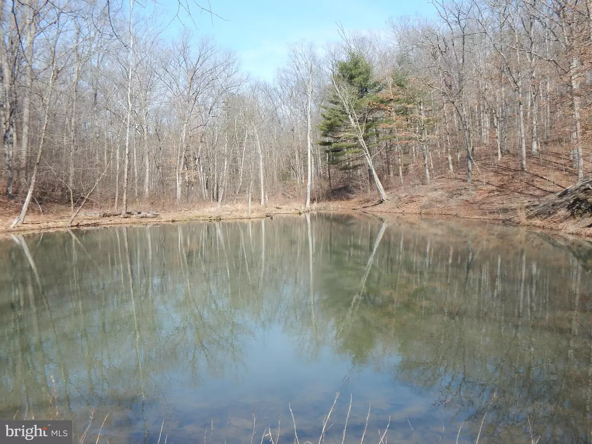 Hedgesville, WV 25427,LOT 3 FLOWING BROOK