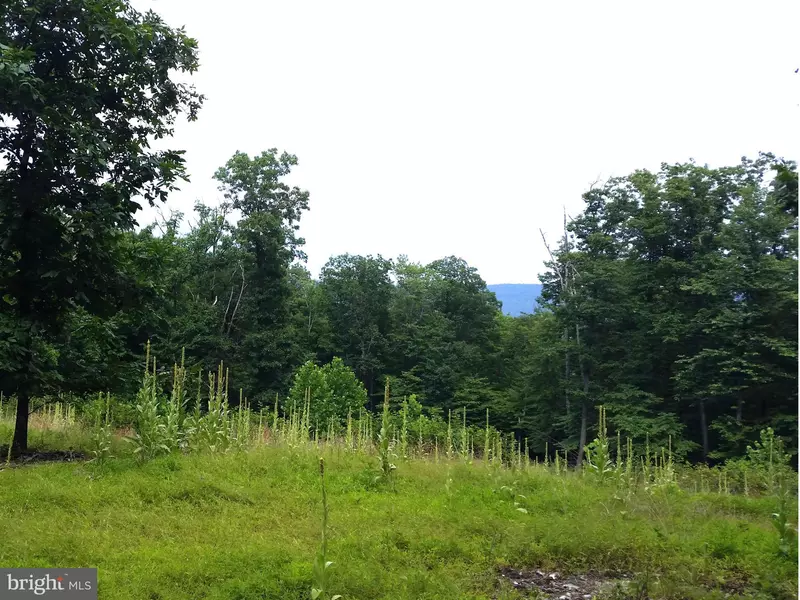 LOT 1B APPALACHIAN TRAIL LN, Purcellville, VA 20132