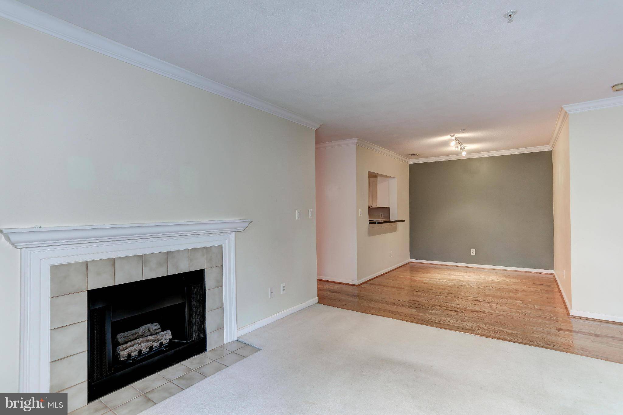 Ashburn, VA 20147,20271 BEECHWOOD TER #201