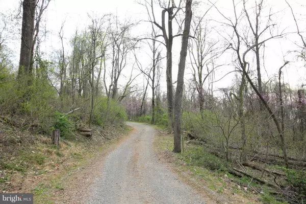 Round Hill, VA 20141,0 TREE CROPS LN