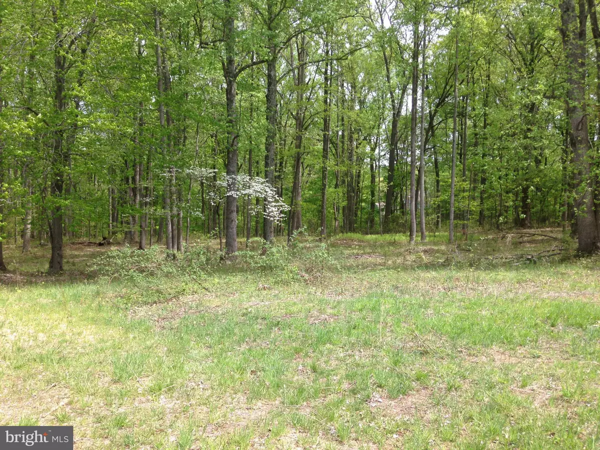 Leesburg, VA 20175,LOT 2 WATSON RD