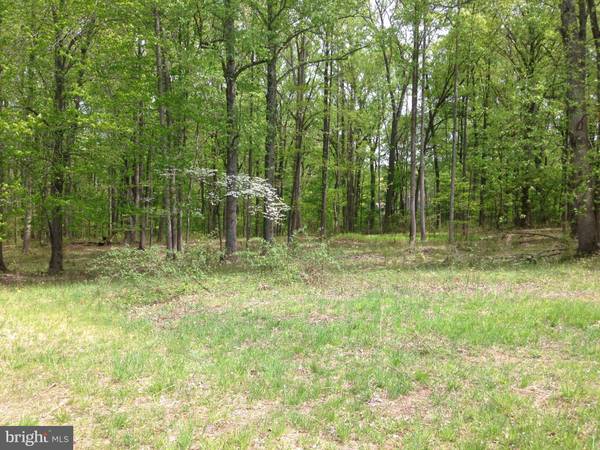 LOT 2 WATSON RD, Leesburg, VA 20175