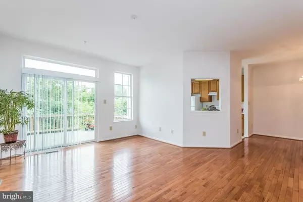 Ashburn, VA 20147,20468 COOL FERN SQ