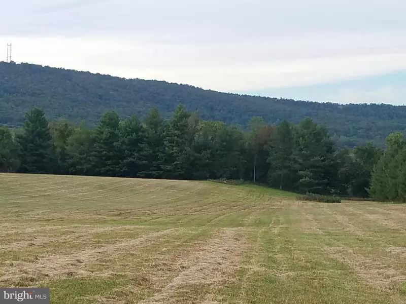 OFF MOUNTAIN RD. LN, Lovettsville, VA 20180