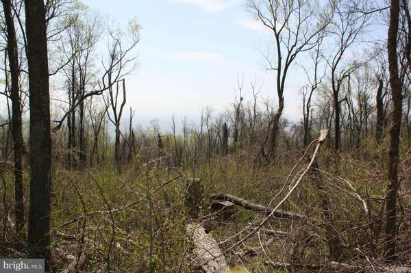 Bluemont, VA 20135,BLUERIDGE MOUNTAIN RD