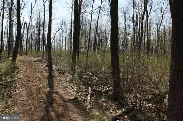 Bluemont, VA 20135,BLUERIDGE MOUNTAIN RD