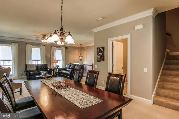 Chantilly, VA 20152,43621 WHITE CAP TER