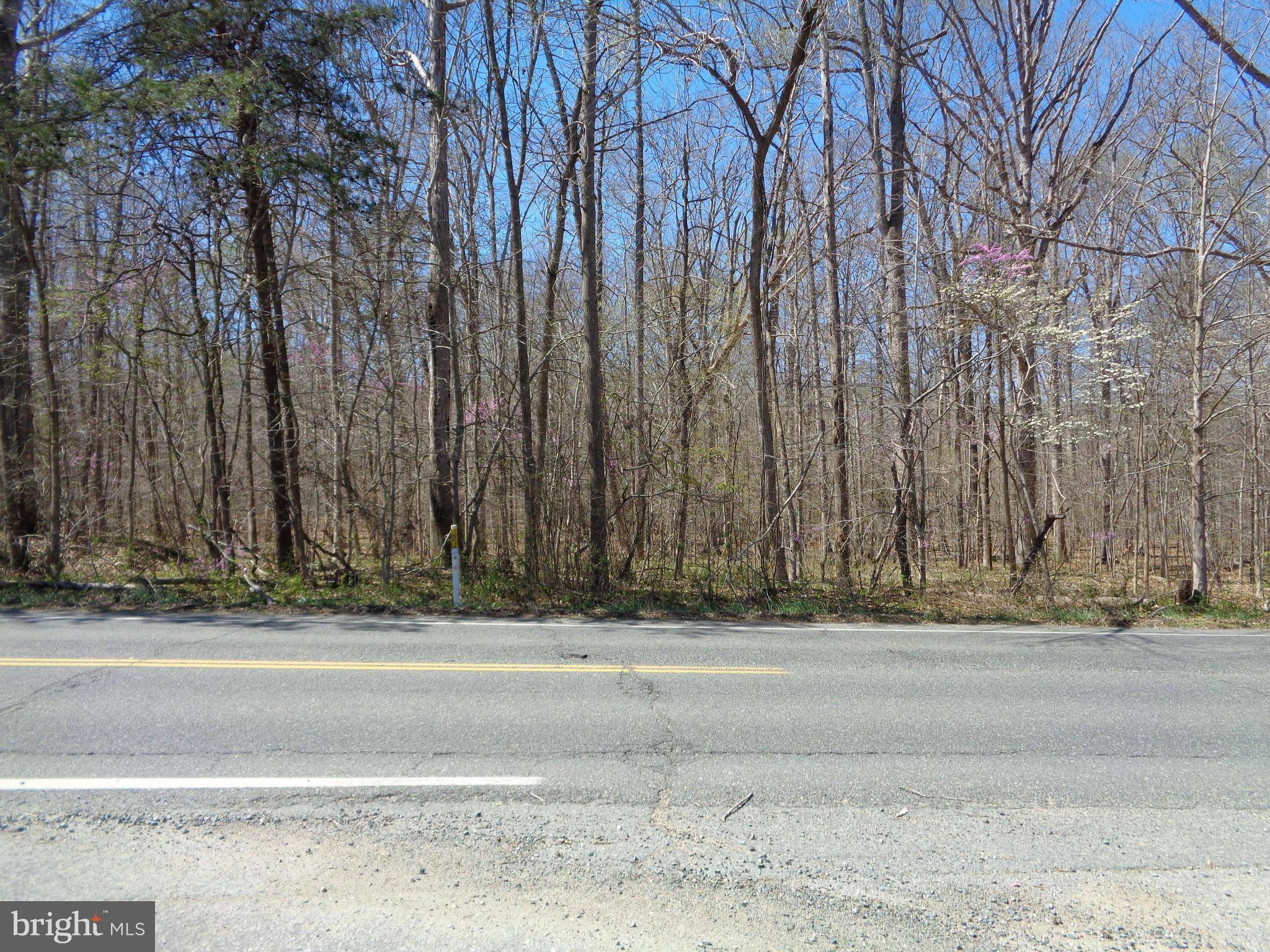 Stafford, VA 22556,51-3 LOT ONVILLE RD