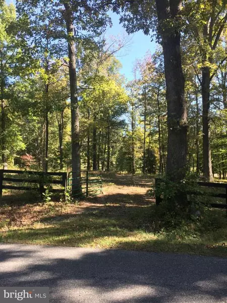 MOUNT OLIVE RD, Fredericksburg, VA 22406