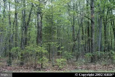 Spotsylvania, VA 22551,12615 PLANTATION DR
