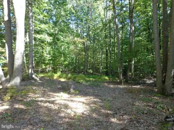 LOT 1A TURKEY POINT RD, North East, MD 21901