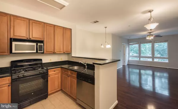 Arlington, VA 22204,801 GREENBRIER ST S #222