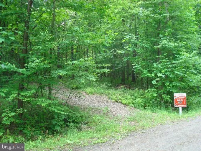 LOT 24 BEAR CREEK FOREST, Accident, MD 21520