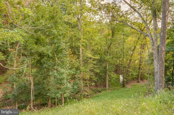 Falling Waters, WV 25419,69 SAVAGE CT