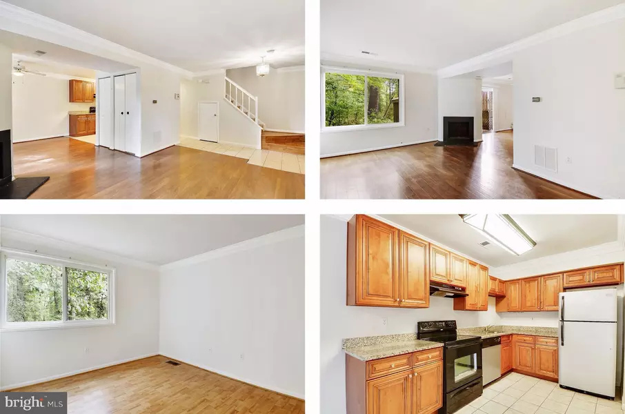 18747 CURRY POWDER LN, Germantown, MD 20874