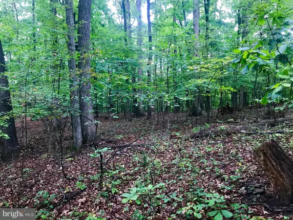 Falling Waters, WV 25419,LOT 55 SHERWOOD FOREST DR