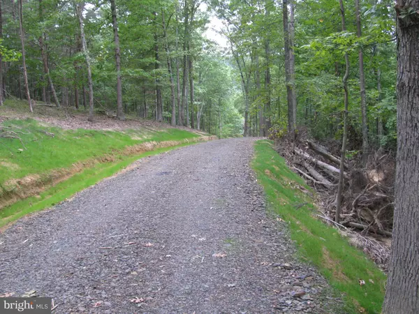 Moorefield, WV 26836,THROUGH RD