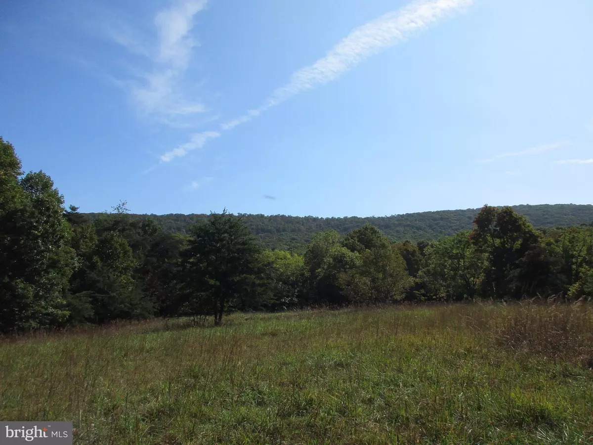 Berkeley Springs, WV 25411,0 LODGE LN