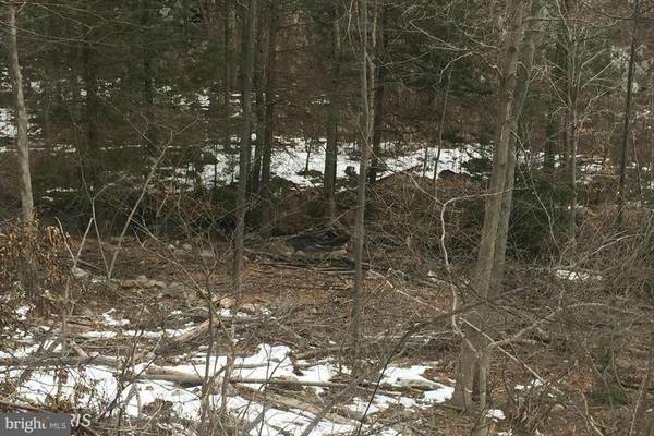 LOWER HORSE VALLEY RD, Orrstown, PA 17244