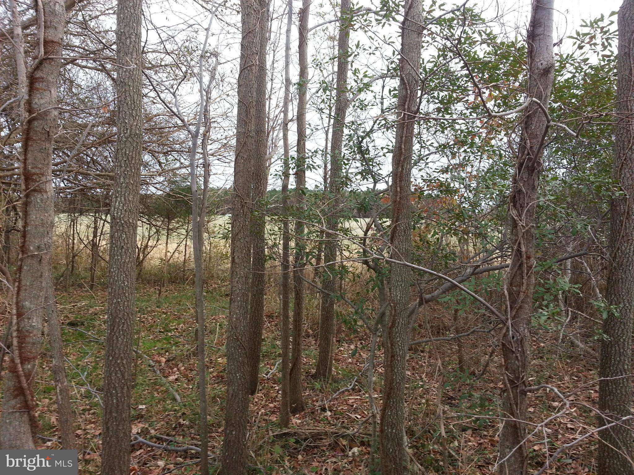 Stevensville, MD 21666,114 TWIN COVE RD