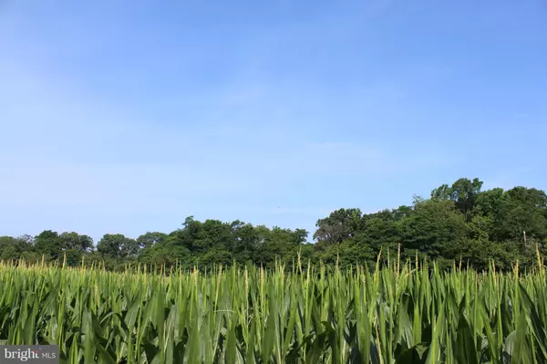 Centreville, MD 21617,4 POSSUM POINT FARM