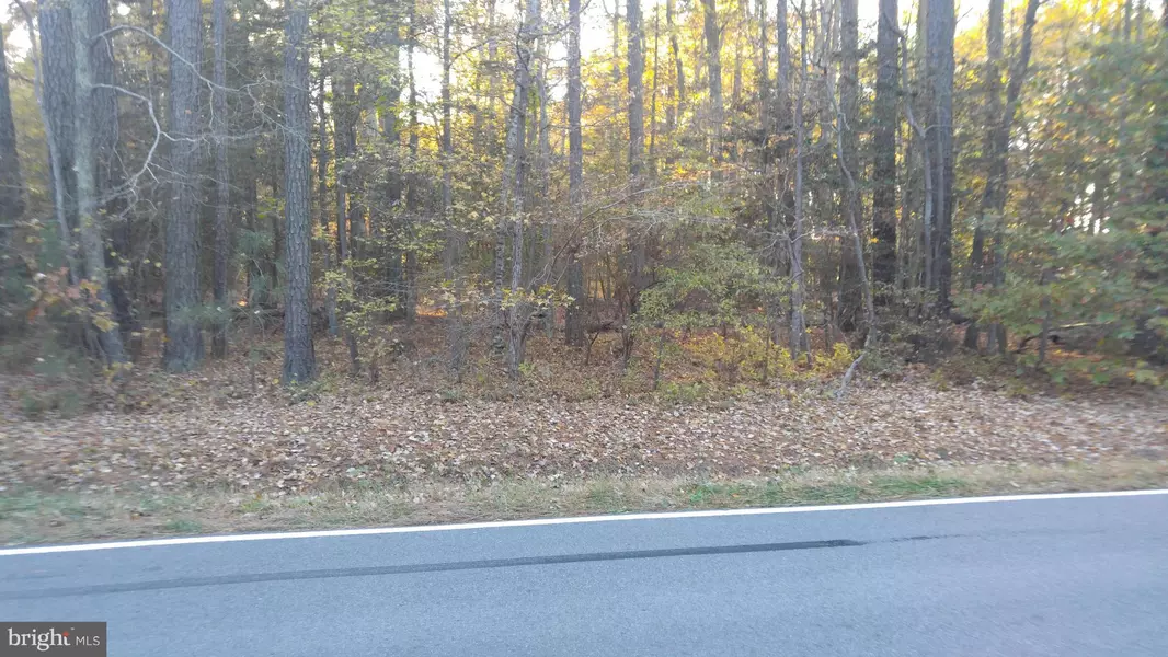 HATCHET THICKET ROAD, Avenue, MD 20609