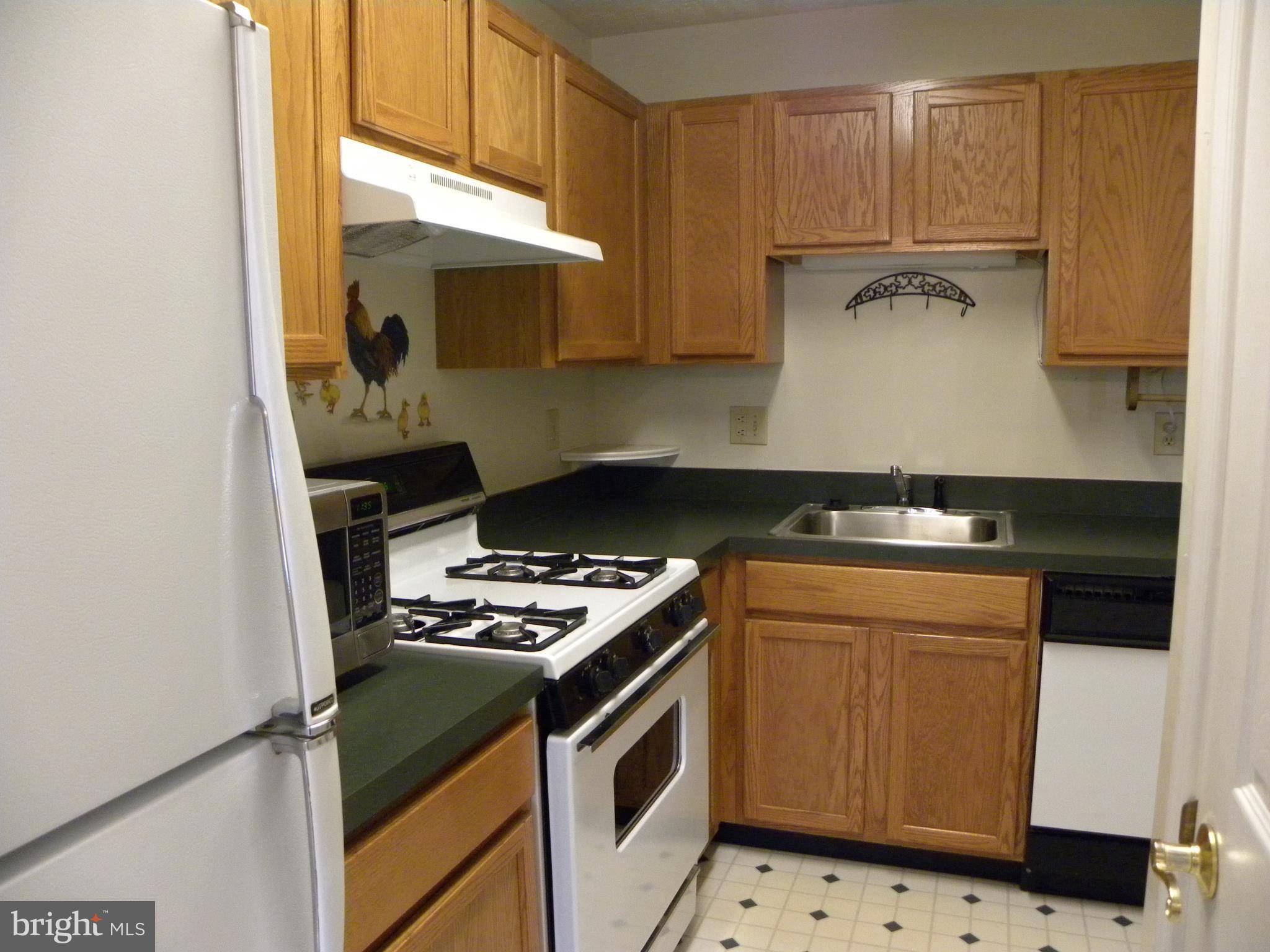 Great Mills, MD 20634,22564 LOWER KELLS LN
