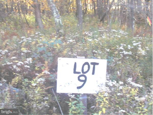 9 LOT 9 KINGS ACRES, Mount Storm, WV 26739