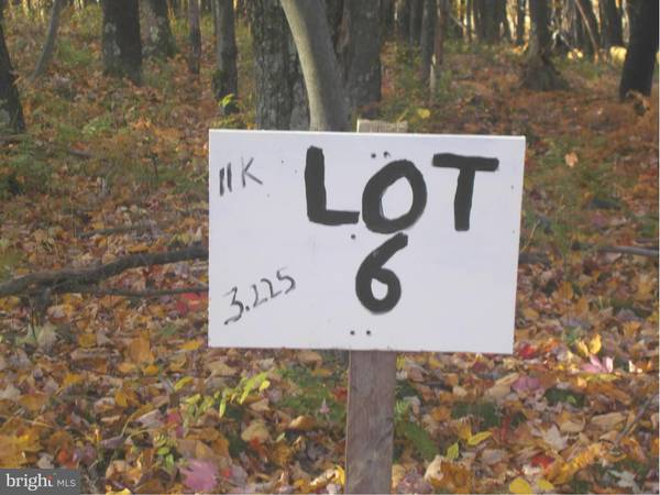 6 LOT 6 KINGS ACRES, Mount Storm, WV 26739