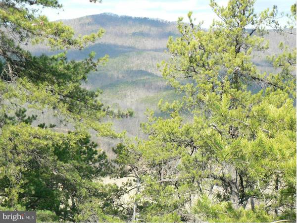 72.15 AC WILDERNESS WAY, Petersburg, WV 26847