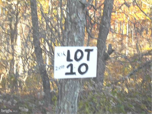 10 LOT 10 KINGS ACRES, Mount Storm, WV 26739