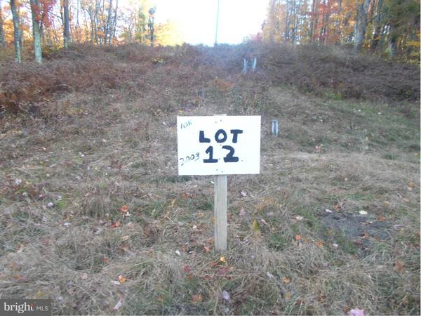 12 LOT 12 KINGS ACRES, Mount Storm, WV 26739