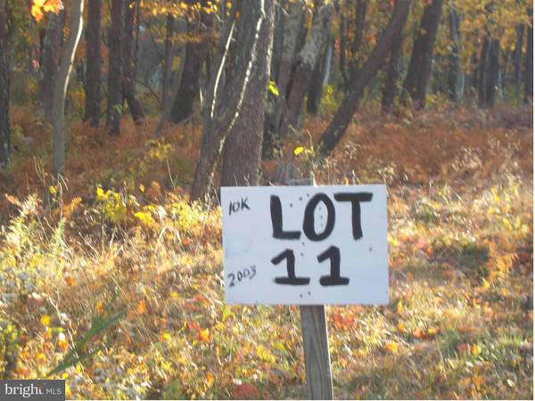 11 LOT 11 KINGS ACRES, Mount Storm, WV 26739