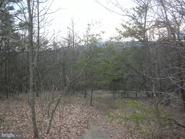 Berkeley Springs, WV 25411,ROUNDTOP