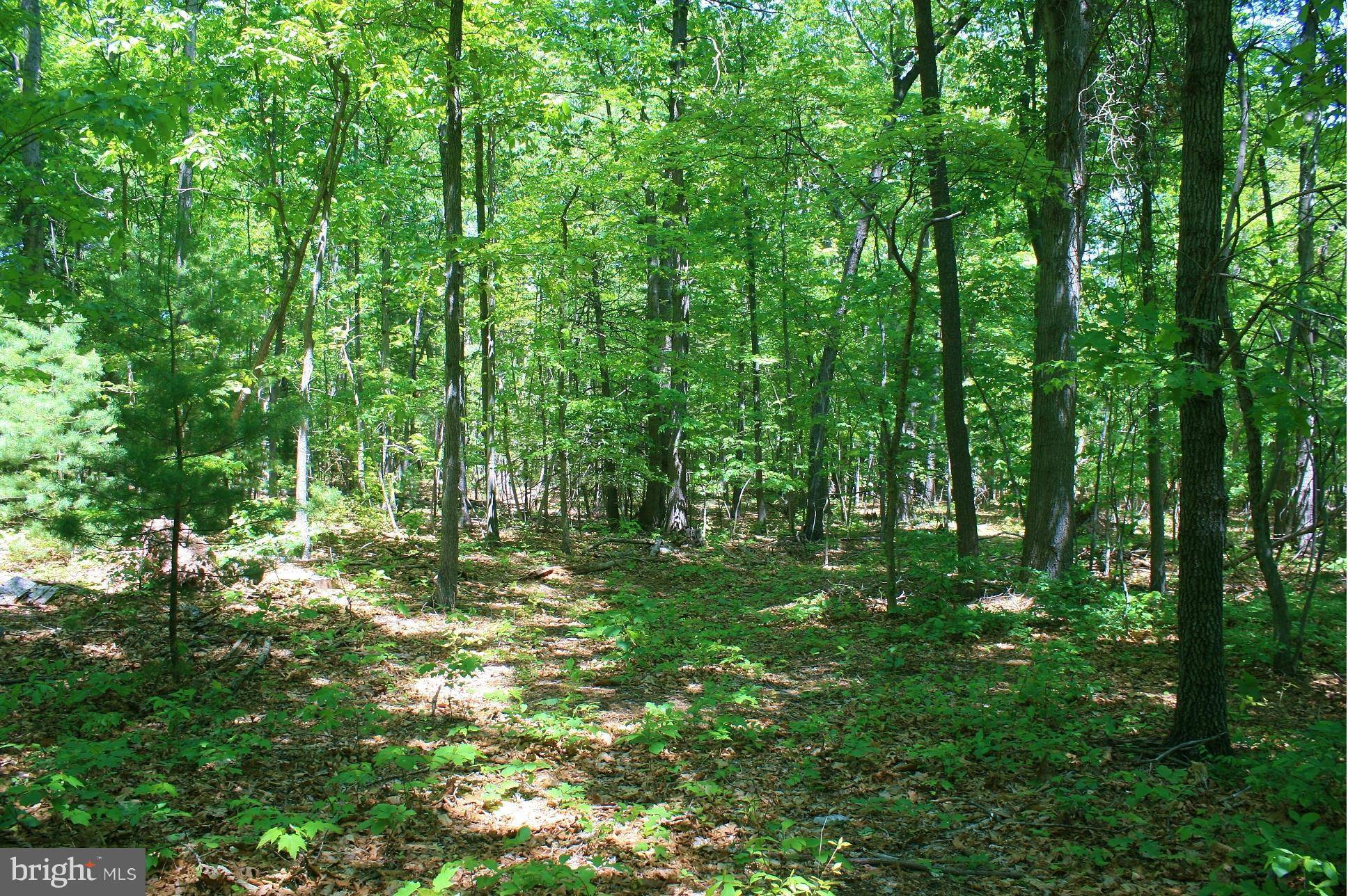 Hedgesville, WV 25427,RT. 9 MARTINSBURG ROAD