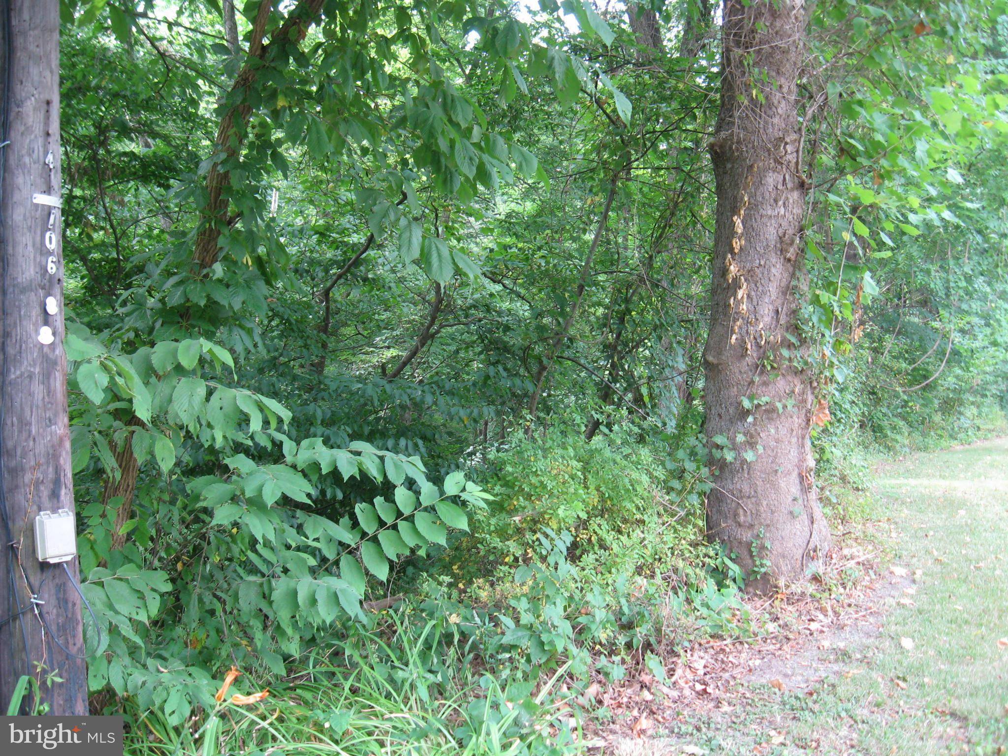 Great Cacapon, WV 25422,RT. 9 WEST