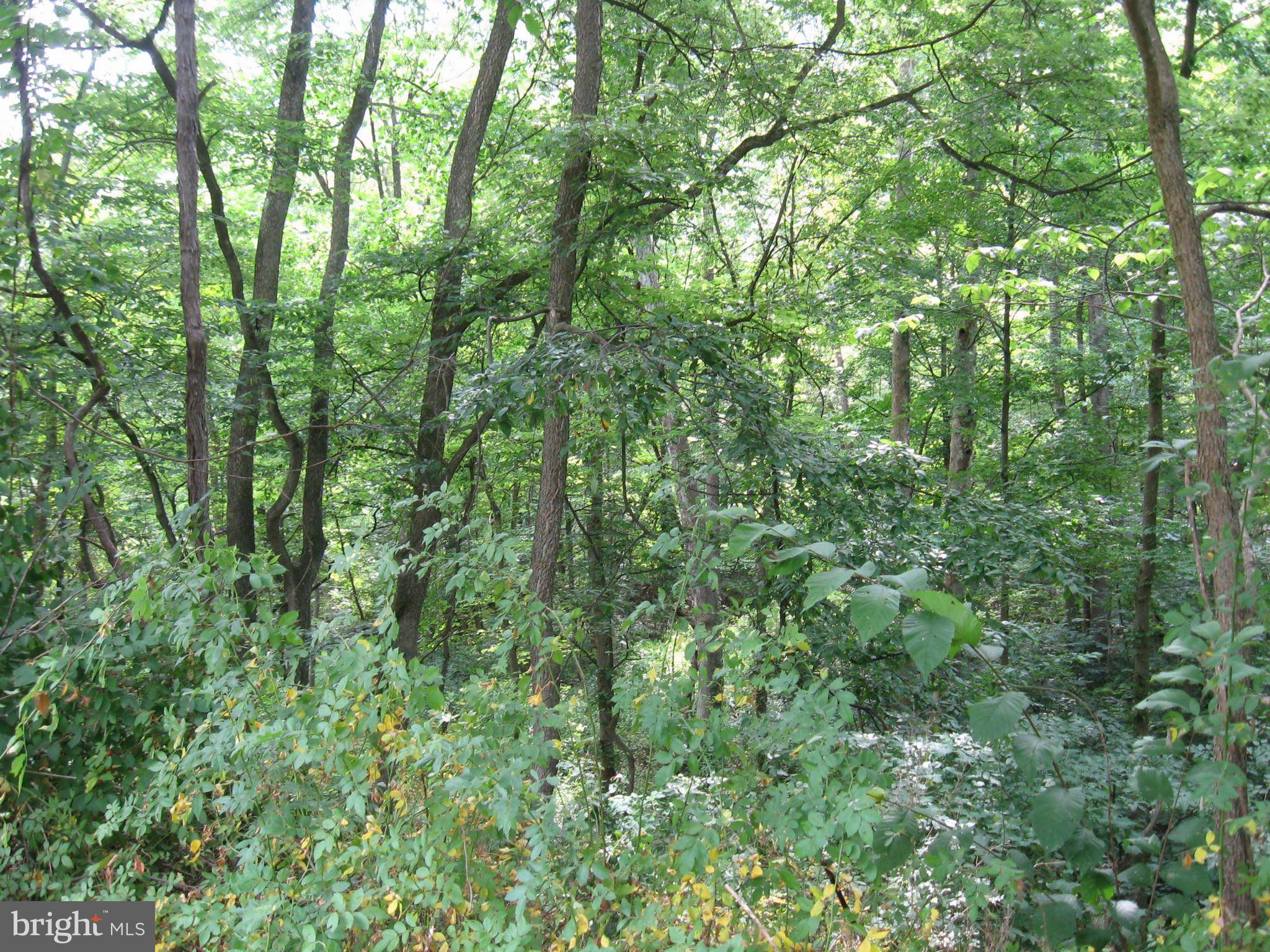Great Cacapon, WV 25422,RT. 9 WEST
