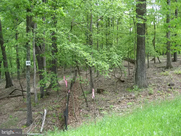 Berkeley Springs, WV 25411,LOT D ELM RIDGE DR