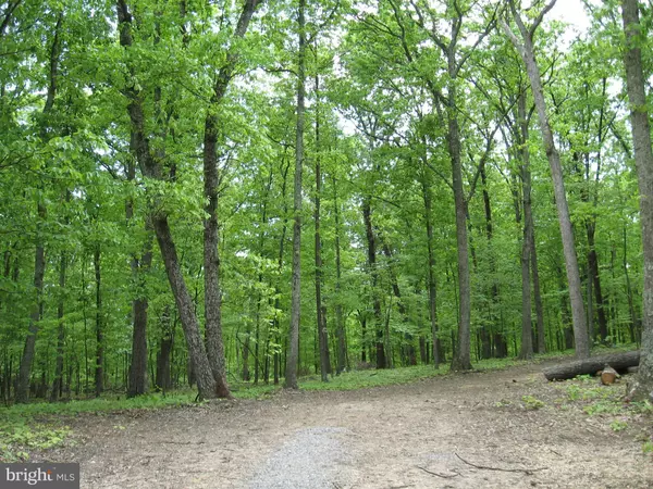 Berkeley Springs, WV 25411,LOT D ELM RIDGE DR