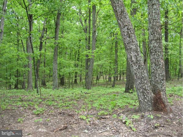 LOT D ELM RIDGE DR, Berkeley Springs, WV 25411