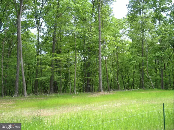 Berkeley Springs, WV 25411,LOT D ELM RIDGE DR