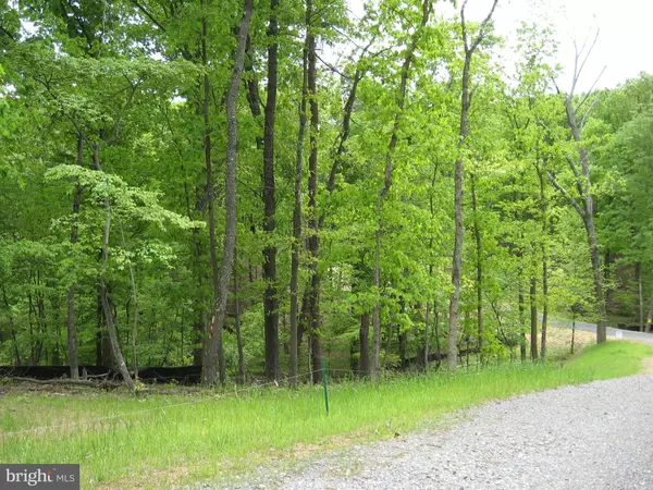 Berkeley Springs, WV 25411,LOT D ELM RIDGE DR