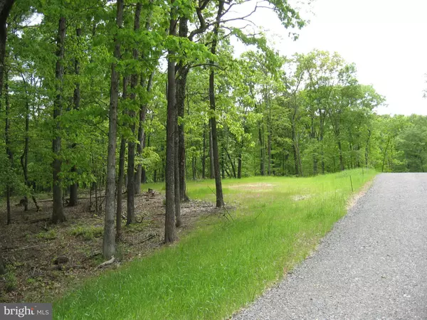 Berkeley Springs, WV 25411,LOT D ELM RIDGE DR