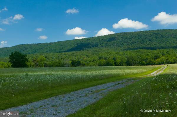 OFF SHADES LANE OFF RT 8/9, Berkeley Springs, WV 25411